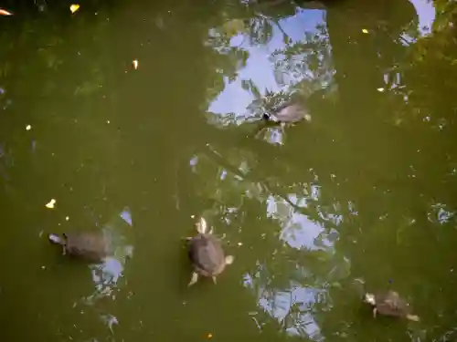 成田山新勝寺(千葉県)