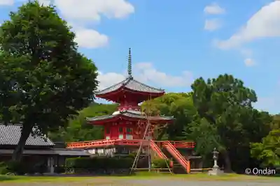 大覚寺(京都府)