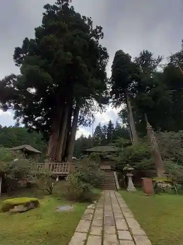 金剛三昧院(和歌山県)