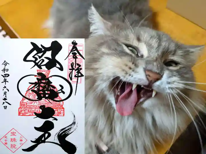 増上寺塔頭 三縁山 宝珠院の動物