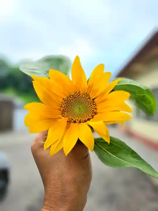 美幌神社(北海道)