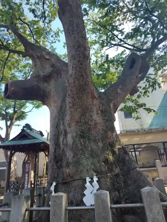 阿邪訶根神社(福島県)