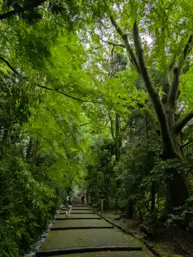 白山比咩神社の{uncategorized: "未分類", other: "その他", undefined: "問題あり", building: "その他建物", grave: "お墓", sacred_gate: "鳥居", guardian: "狛犬", statue: "像", buddha: "仏像", history: "歴史", nature: "自然", garden: "庭園", animal: "動物", pagoda: "塔", temizu: "手水舎", mountain_gate: "山門・神門", sanctuary: "本殿・本堂", subordinate: "末社・摂社", art: "芸術", scenery: "景色", jizo: "地蔵", ema: "絵馬", goshuin: "御朱印", omikuji: "おみくじ", items: "授与品その他", amulet: "お守り", goshuincho: "御朱印帳", eats: "食事", festival: "お祭り", votive_dance: "神楽", shichigosan: "七五三参", wedding: "結婚式", experience: "体験その他", initially: "初詣", around: "周辺", anti_infection: "感染症対策"}