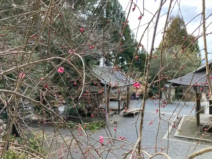 大豊神社(京都府)