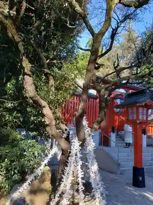 馬橋稲荷神社(東京都)