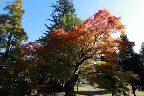 千手院の景色