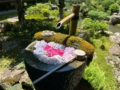 柳谷観音　楊谷寺(京都府)