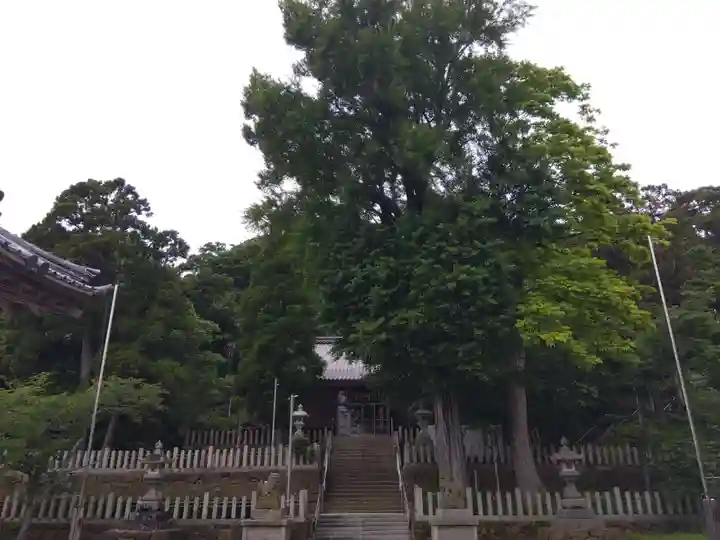 新宮神社(福井県)