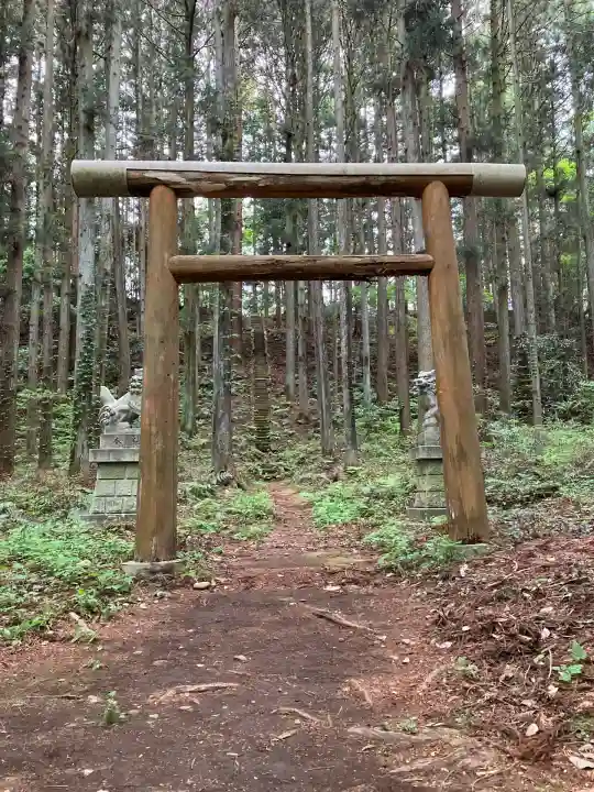 接骨木愛宕神社(栃木県)