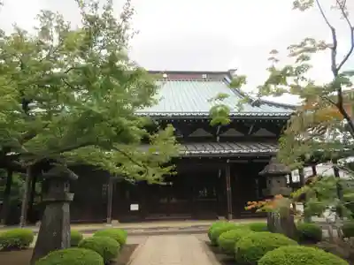 豪徳寺の本殿・本堂