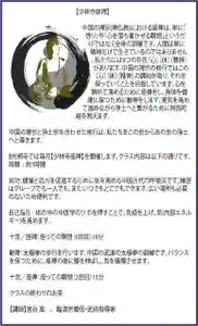 遠照山 光明寺(尼崎大仏)(兵庫県)(2020年07月05日(日) 15時04分38秒投稿)