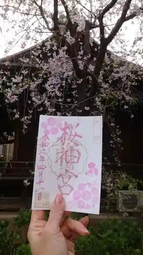 桜神宮の御朱印