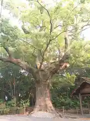 月夜見宮（豊受大神宮別宮）(三重県)