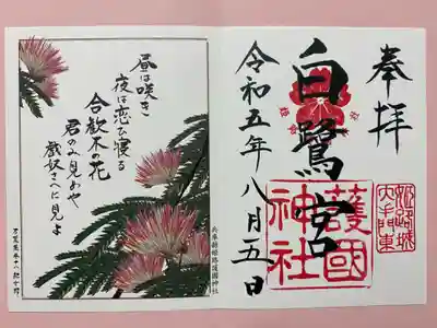 夏限定のご朱印🌞