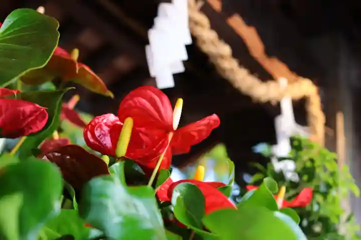 三津厳島神社(愛媛県)