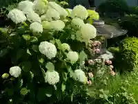 智福院の{uncategorized: "未分類", other: "その他", undefined: "問題あり", building: "その他建物", grave: "お墓", sacred_gate: "鳥居", guardian: "狛犬", statue: "像", buddha: "仏像", history: "歴史", nature: "自然", garden: "庭園", animal: "動物", pagoda: "塔", temizu: "手水舎", mountain_gate: "山門・神門", sanctuary: "本殿・本堂", subordinate: "末社・摂社", art: "芸術", scenery: "景色", jizo: "地蔵", ema: "絵馬", goshuin: "御朱印", omikuji: "おみくじ", items: "授与品その他", amulet: "お守り", goshuincho: "御朱印帳", eats: "食事", festival: "お祭り", votive_dance: "神楽", shichigosan: "七五三参", wedding: "結婚式", experience: "体験その他", initially: "初詣", around: "周辺", anti_infection: "感染症対策"}