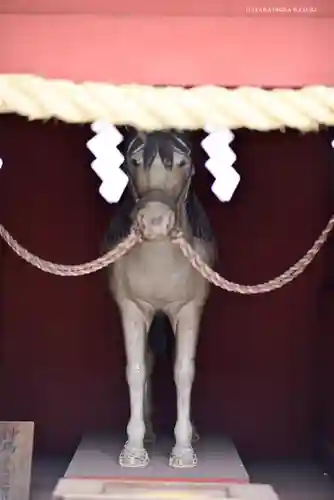 静岡浅間神社の狛犬