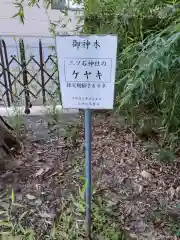 三ツ石神社の建物その他