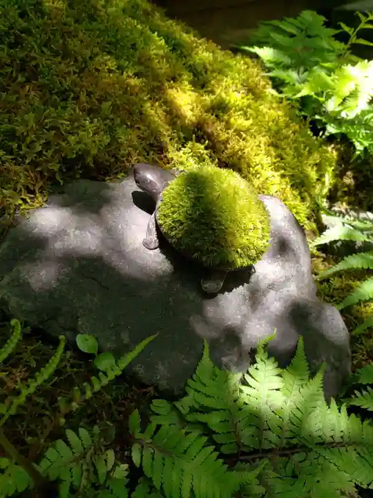 陽運寺(東京都)