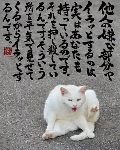 専念寺(大阪府)