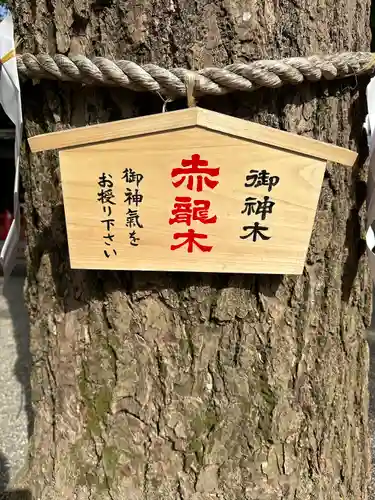 田無神社(東京都)