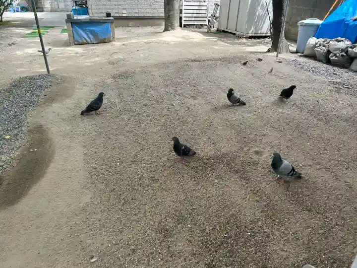 サムハラ神社(大阪府)