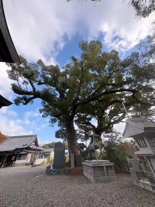 津田八幡神社(徳島県)