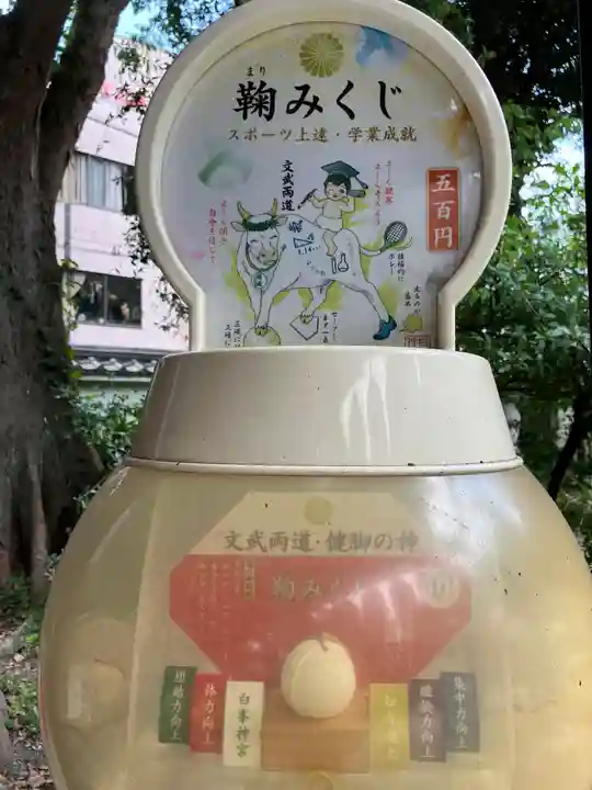 白峯神宮(京都府)