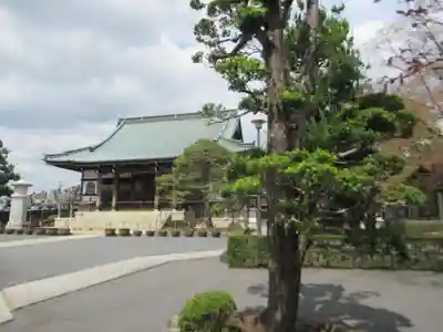 円福寺(東京都)