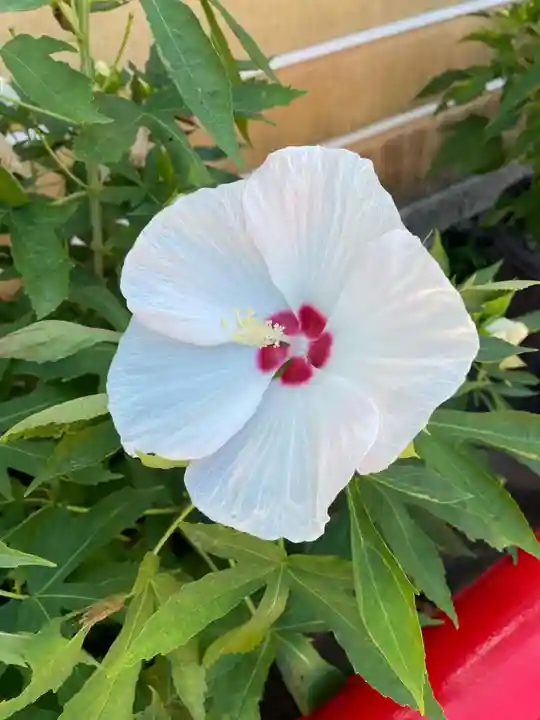 中山寺(兵庫県)