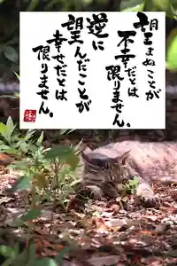 専念寺(大阪府)(2022年07月14日(木) 21時03分59秒投稿)