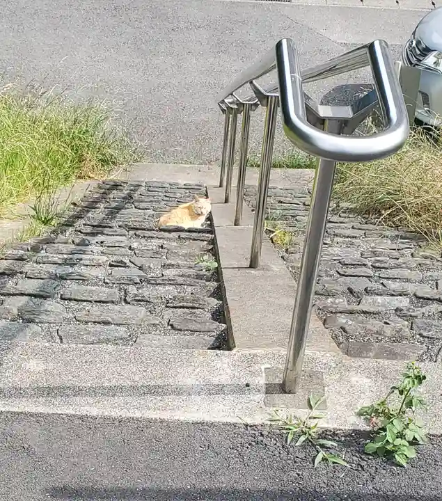 男浅間神社の周辺