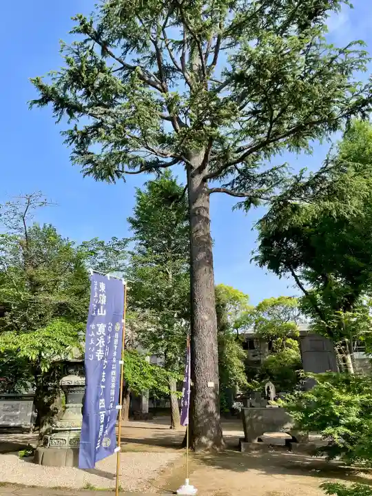 寛永寺(根本中堂)(東京都)
