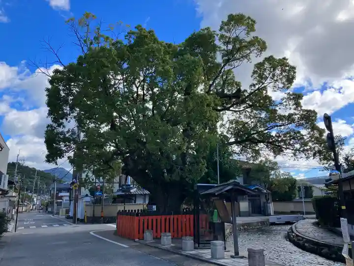 大田神社(賀茂別雷神社境外摂社)(京都府)