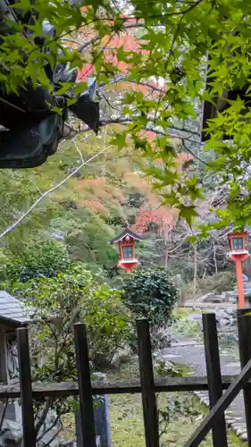 十輪寺(京都府)