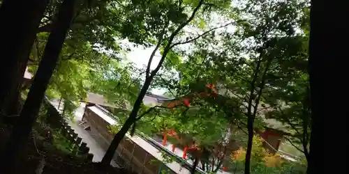 出雲大神宮の本殿・本堂