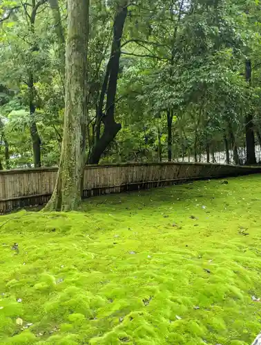 御寺 泉涌寺の庭園