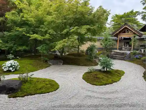黄梅院(京都府)