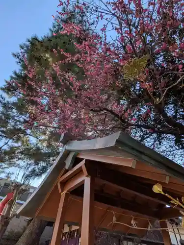 猿田彦神社(東京都)