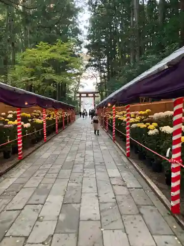 彌彦神社の建物その他