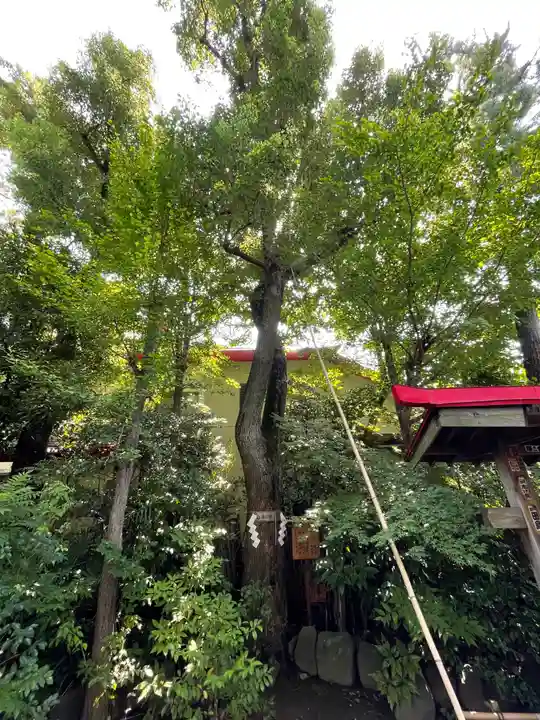 梅田神明宮(東京都)