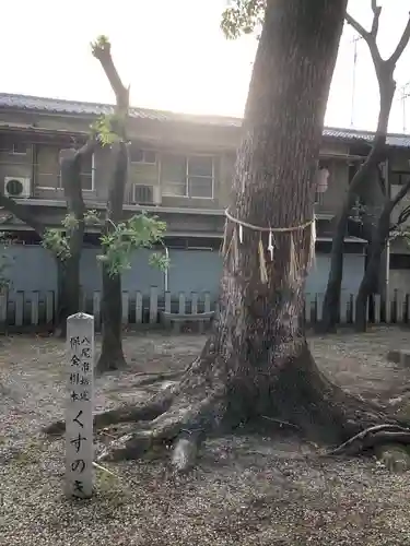 穴太神社の自然