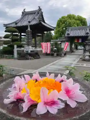 真言宗　善通寺派　薬王寺(香川県)
