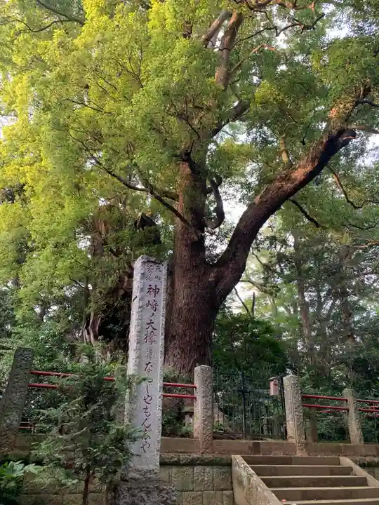 神崎神社(千葉県)