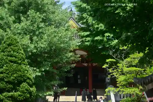 待乳山聖天（本龍院）(東京都)