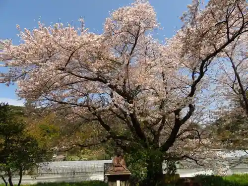 川津来宮神社の自然