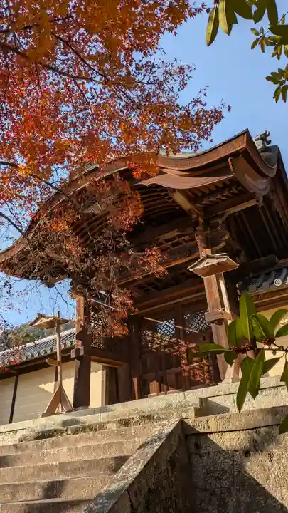 光明寺(粟生光明寺)(京都府)