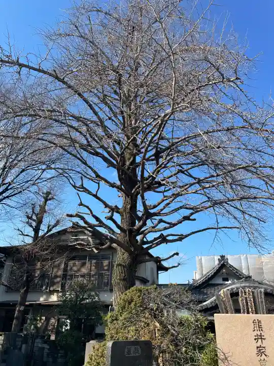仙寿院の{uncategorized: "未分類", other: "その他", undefined: "問題あり", building: "その他建物", grave: "お墓", sacred_gate: "鳥居", guardian: "狛犬", statue: "像", buddha: "仏像", history: "歴史", nature: "自然", garden: "庭園", animal: "動物", pagoda: "塔", temizu: "手水舎", mountain_gate: "山門・神門", sanctuary: "本殿・本堂", subordinate: "末社・摂社", art: "芸術", scenery: "景色", jizo: "地蔵", ema: "絵馬", goshuin: "御朱印", omikuji: "おみくじ", items: "授与品その他", amulet: "お守り", goshuincho: "御朱印帳", eats: "食事", festival: "お祭り", votive_dance: "神楽", shichigosan: "七五三参", wedding: "結婚式", experience: "体験その他", initially: "初詣", around: "周辺", anti_infection: "感染症対策"}