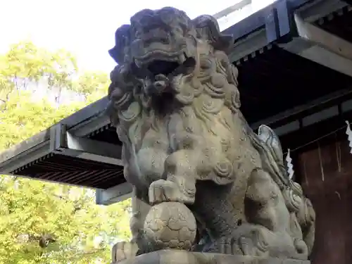 亀戸 香取神社の狛犬