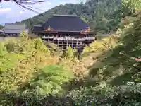 清水寺(京都府)